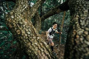 BIB: 
                            <button type="button" onclick="openModal(25392598)" class="btn btn-primary btn-sm float-right btn-popup" data-toggle="modal" data-target=".modal-high-quality">
                        <i class="fas fa-shopping-cart"></i> Add to Cart
                    </button>
                                            <button type="button" onclick="isThisMe(25392598, true)" class="btn btn-success btn-sm float-right btn-popup btn-isme hidden" data-toggle="tooltip" data-placement="bottom" title="นี่คือรูปของคุณใช่ไหม คลิกที่นี่เพื่อเอาเข้าอัลบั้ม">
                        <i class="fas fa-plus"></i> Add to album
                    </button>
                    <button type="button" onclick="isThisMe(25392598, false)" class="btn btn-warning btn-sm float-right btn-popup btn-isnotme hidden">
                        <i class="fas fa-ban"></i> Remove from album
                    </button>